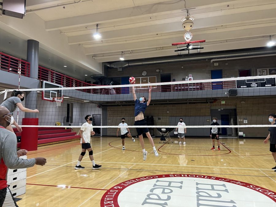 Junior Dylan Minvielle blocks serve during practice. Minvielle has neve played voleyball and will be playing the front row middle position for the upcoming season. 