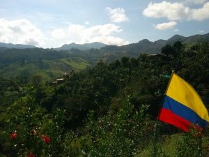 View of the nature in Columbia. A flag is seen planted in the mountain.