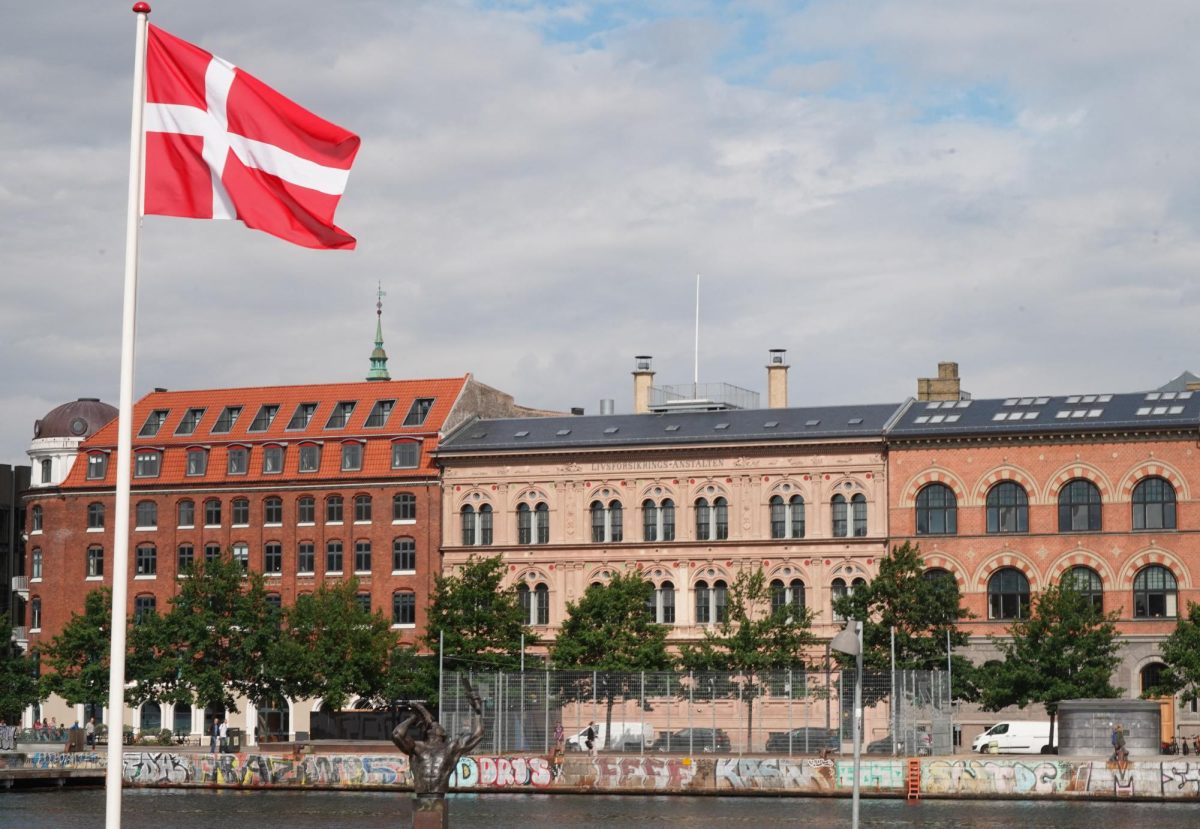 A Danish flag flies outside the foreign ministry in Copenhagen, Denmark, July 31, 2023. REUTERS/Tom Little