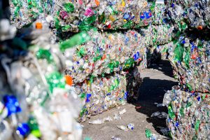Recycling sorting facility operated by ECVC, October 18, 2019.